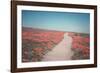 California Blooms IV-Elizabeth Urquhart-Framed Photographic Print