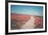 California Blooms IV-Elizabeth Urquhart-Framed Photographic Print