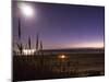 California Campout on a Empty Central Coast Beach-Daniel Kuras-Mounted Photographic Print