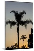 California, Carpinteria, Palm Tree Silhouettes at Sunset-Alison Jones-Mounted Photographic Print