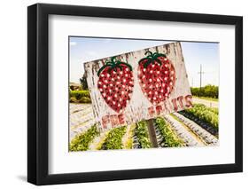 California, Central Valley, San Joaquin River Valley, Modesto, Aan Saechao's garden-Alison Jones-Framed Photographic Print