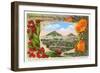 California Christmas, San Luis Obispo-null-Framed Art Print