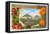 California Christmas, San Luis Obispo-null-Framed Stretched Canvas