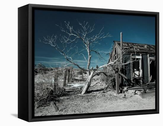 California, Cima, Mojave National Preserve, Abandoned Mojave Desert Ranch, Winter, USA-Walter Bibikow-Framed Stretched Canvas