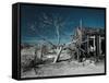 California, Cima, Mojave National Preserve, Abandoned Mojave Desert Ranch, Winter, USA-Walter Bibikow-Framed Stretched Canvas