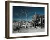 California, Cima, Mojave National Preserve, Abandoned Mojave Desert Ranch, Winter, USA-Walter Bibikow-Framed Premium Photographic Print