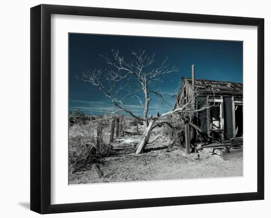 California, Cima, Mojave National Preserve, Abandoned Mojave Desert Ranch, Winter, USA-Walter Bibikow-Framed Premium Photographic Print