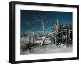 California, Cima, Mojave National Preserve, Abandoned Mojave Desert Ranch, Winter, USA-Walter Bibikow-Framed Premium Photographic Print