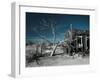 California, Cima, Mojave National Preserve, Abandoned Mojave Desert Ranch, Winter, USA-Walter Bibikow-Framed Premium Photographic Print