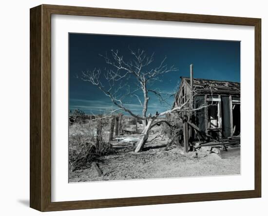 California, Cima, Mojave National Preserve, Abandoned Mojave Desert Ranch, Winter, USA-Walter Bibikow-Framed Photographic Print