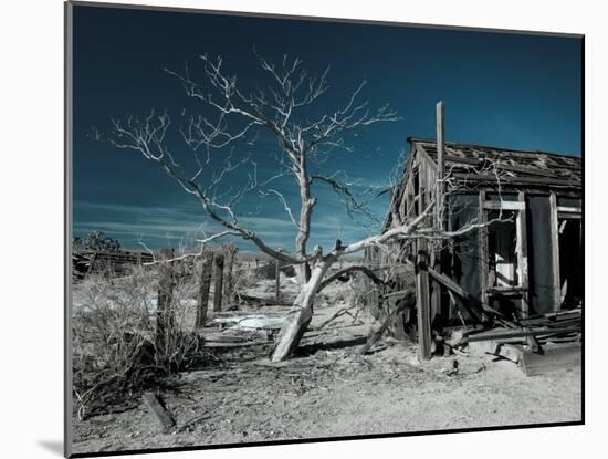 California, Cima, Mojave National Preserve, Abandoned Mojave Desert Ranch, Winter, USA-Walter Bibikow-Mounted Photographic Print