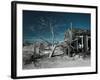 California, Cima, Mojave National Preserve, Abandoned Mojave Desert Ranch, Winter, USA-Walter Bibikow-Framed Photographic Print