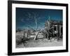 California, Cima, Mojave National Preserve, Abandoned Mojave Desert Ranch, Winter, USA-Walter Bibikow-Framed Photographic Print