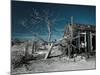 California, Cima, Mojave National Preserve, Abandoned Mojave Desert Ranch, Winter, USA-Walter Bibikow-Mounted Photographic Print