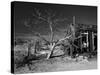 California, Cima, Mojave National Preserve, Abandoned Mojave Desert Ranch, Winter, USA-Walter Bibikow-Stretched Canvas