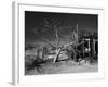 California, Cima, Mojave National Preserve, Abandoned Mojave Desert Ranch, Winter, USA-Walter Bibikow-Framed Photographic Print