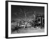 California, Cima, Mojave National Preserve, Abandoned Mojave Desert Ranch, Winter, USA-Walter Bibikow-Framed Photographic Print