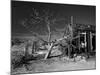 California, Cima, Mojave National Preserve, Abandoned Mojave Desert Ranch, Winter, USA-Walter Bibikow-Mounted Photographic Print