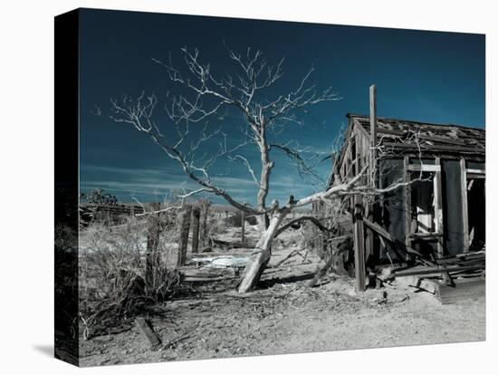 California, Cima, Mojave National Preserve, Abandoned Mojave Desert Ranch, Winter, USA-Walter Bibikow-Stretched Canvas