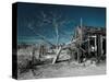 California, Cima, Mojave National Preserve, Abandoned Mojave Desert Ranch, Winter, USA-Walter Bibikow-Stretched Canvas