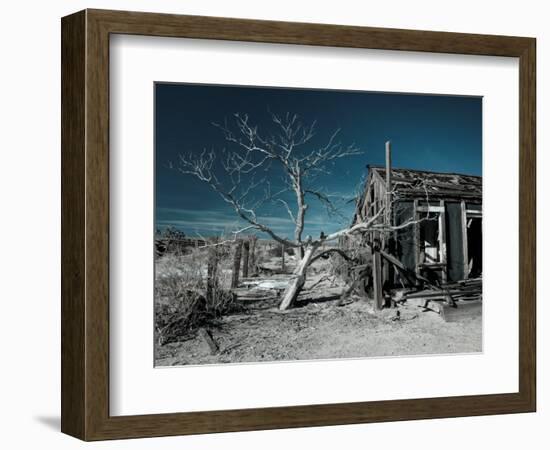 California, Cima, Mojave National Preserve, Abandoned Mojave Desert Ranch, Winter, USA-Walter Bibikow-Framed Photographic Print