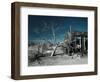 California, Cima, Mojave National Preserve, Abandoned Mojave Desert Ranch, Winter, USA-Walter Bibikow-Framed Photographic Print