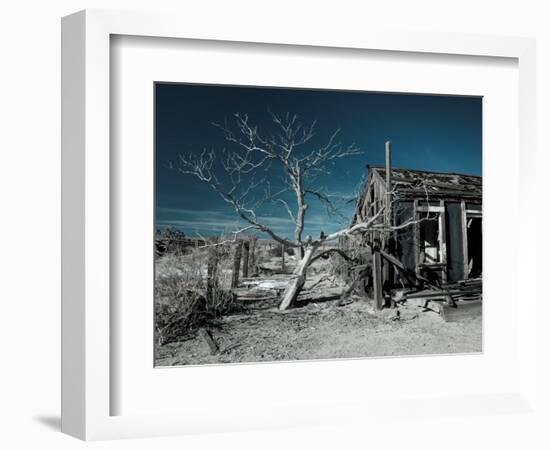 California, Cima, Mojave National Preserve, Abandoned Mojave Desert Ranch, Winter, USA-Walter Bibikow-Framed Photographic Print