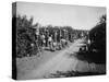 California Citrus Heritage Recording Project, Workers Harvesting Oranges, Riverside County, 1930-null-Stretched Canvas