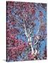 California, Cleveland Nf, a Flowering Redbud Tree in the Forest-Christopher Talbot Frank-Stretched Canvas