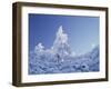 California, Cleveland Nf, Laguna Mountains, a Snow Covered Pine Tree-Christopher Talbot Frank-Framed Premium Photographic Print