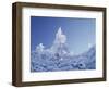 California, Cleveland Nf, Laguna Mountains, a Snow Covered Pine Tree-Christopher Talbot Frank-Framed Photographic Print