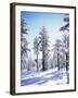 California, Cleveland Nf, Laguna Mts, Sunrise on a Winter Morning-Christopher Talbot Frank-Framed Premium Photographic Print