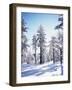 California, Cleveland Nf, Laguna Mts, Sunrise on a Winter Morning-Christopher Talbot Frank-Framed Photographic Print