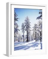 California, Cleveland Nf, Laguna Mts, Sunrise on a Winter Morning-Christopher Talbot Frank-Framed Photographic Print