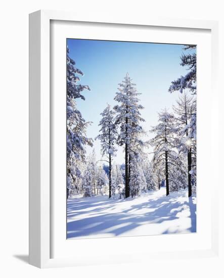 California, Cleveland Nf, Laguna Mts, Sunrise on a Winter Morning-Christopher Talbot Frank-Framed Photographic Print