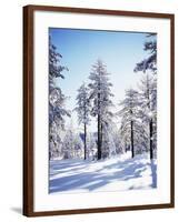 California, Cleveland Nf, Laguna Mts, Sunrise on a Winter Morning-Christopher Talbot Frank-Framed Photographic Print