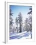 California, Cleveland Nf, Laguna Mts, Sunrise on a Winter Morning-Christopher Talbot Frank-Framed Photographic Print