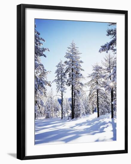 California, Cleveland Nf, Laguna Mts, Sunrise on a Winter Morning-Christopher Talbot Frank-Framed Photographic Print