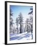 California, Cleveland Nf, Laguna Mts, Sunrise on a Winter Morning-Christopher Talbot Frank-Framed Photographic Print