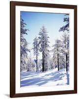 California, Cleveland Nf, Laguna Mts, Sunrise on a Winter Morning-Christopher Talbot Frank-Framed Photographic Print