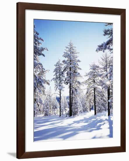 California, Cleveland Nf, Laguna Mts, Sunrise on a Winter Morning-Christopher Talbot Frank-Framed Photographic Print