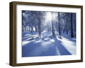 California, Cleveland Nf, Laguna Mts, Suns Rays and Animal Tracks-Christopher Talbot Frank-Framed Premium Photographic Print