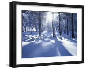 California, Cleveland Nf, Laguna Mts, Suns Rays and Animal Tracks-Christopher Talbot Frank-Framed Premium Photographic Print