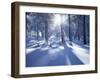 California, Cleveland Nf, Laguna Mts, Suns Rays and Animal Tracks-Christopher Talbot Frank-Framed Photographic Print