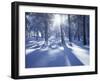 California, Cleveland Nf, Laguna Mts, Suns Rays and Animal Tracks-Christopher Talbot Frank-Framed Photographic Print