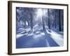 California, Cleveland Nf, Laguna Mts, Suns Rays and Animal Tracks-Christopher Talbot Frank-Framed Photographic Print