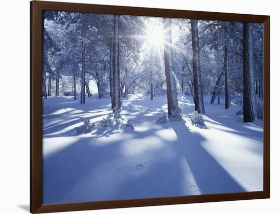 California, Cleveland Nf, Laguna Mts, Suns Rays and Animal Tracks-Christopher Talbot Frank-Framed Photographic Print