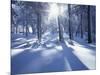 California, Cleveland Nf, Laguna Mts, Suns Rays and Animal Tracks-Christopher Talbot Frank-Mounted Photographic Print