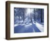 California, Cleveland Nf, Laguna Mts, Suns Rays and Animal Tracks-Christopher Talbot Frank-Framed Photographic Print