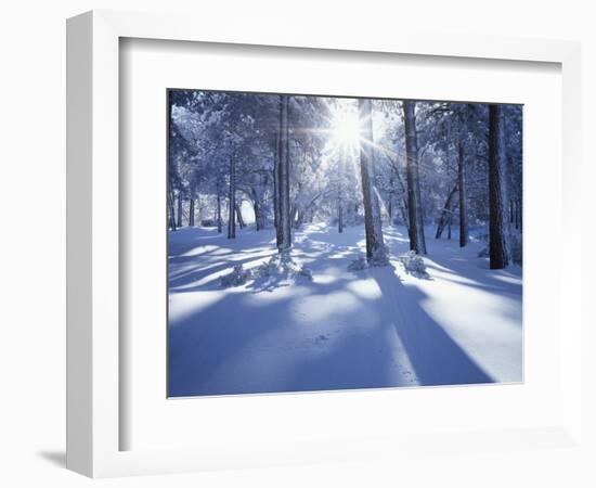 California, Cleveland Nf, Laguna Mts, Suns Rays and Animal Tracks-Christopher Talbot Frank-Framed Photographic Print